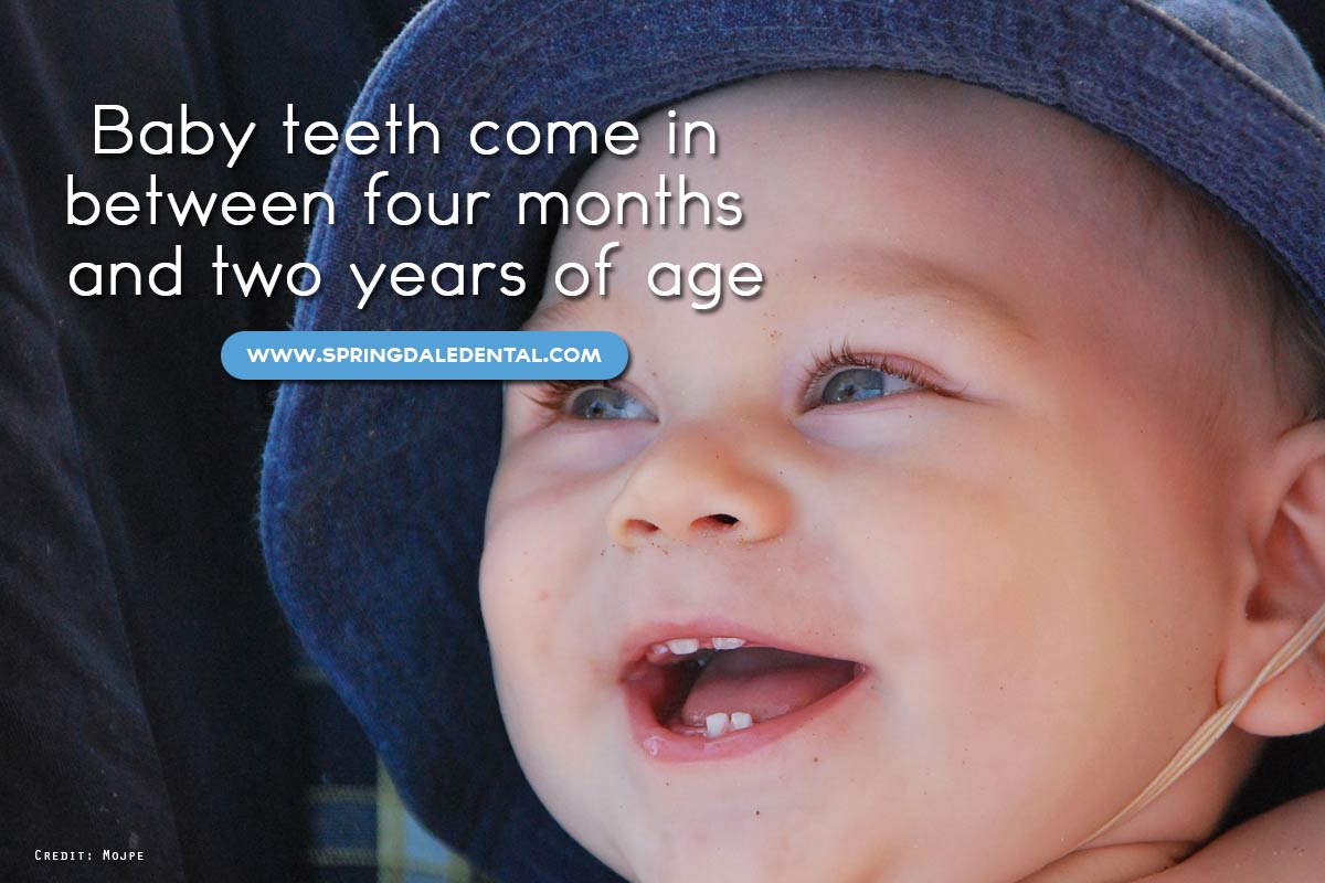 Baby teeth come in between four months and two years of age