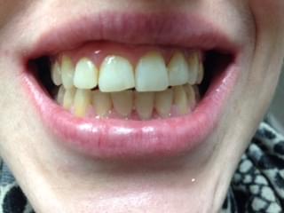 dental service springdale